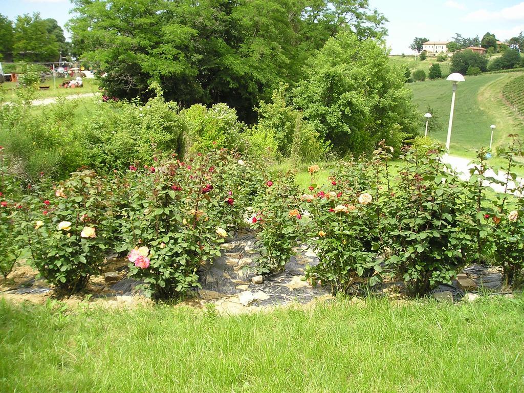 Agriturismo Gaggioli Borgo Delle Vigne Zola Predosa Extérieur photo