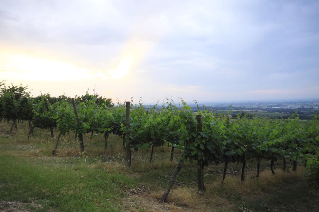 Agriturismo Gaggioli Borgo Delle Vigne Zola Predosa Extérieur photo