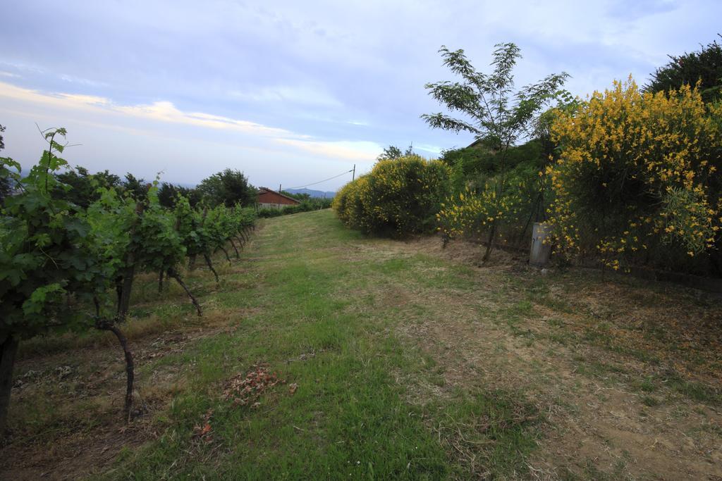 Agriturismo Gaggioli Borgo Delle Vigne Zola Predosa Extérieur photo