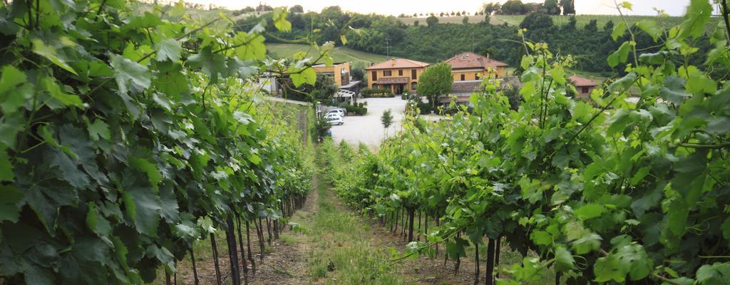 Agriturismo Gaggioli Borgo Delle Vigne Zola Predosa Extérieur photo